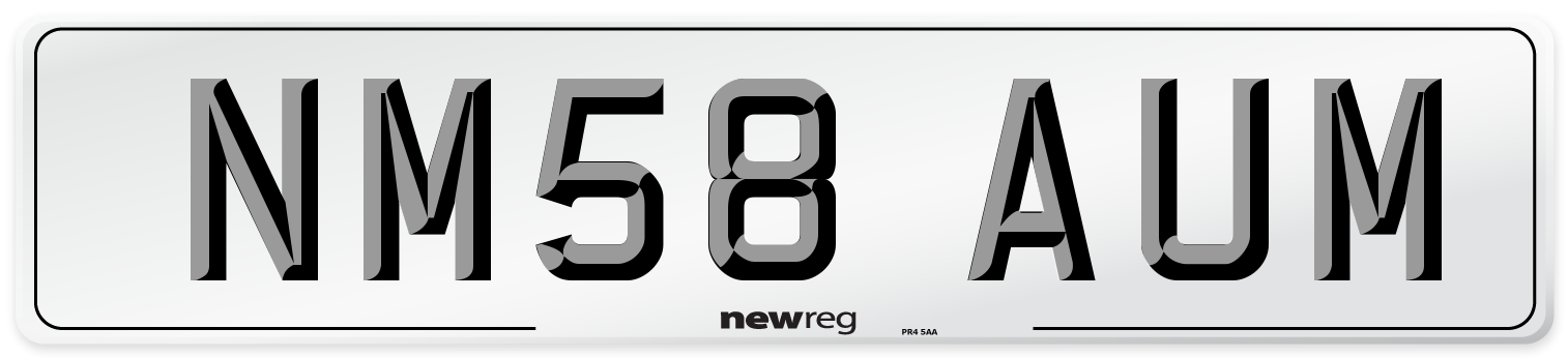 NM58 AUM Number Plate from New Reg